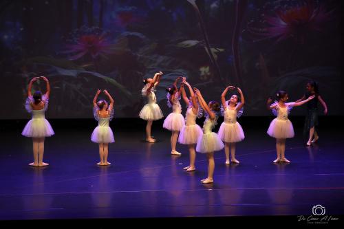 Gala GDC
