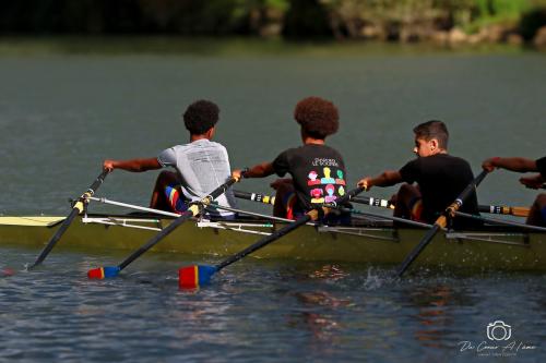 Aviron Marne
