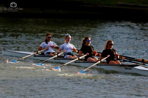 Aviron Marne