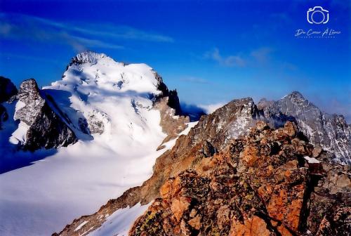Barre des Ecrins  Glacier Blanc
