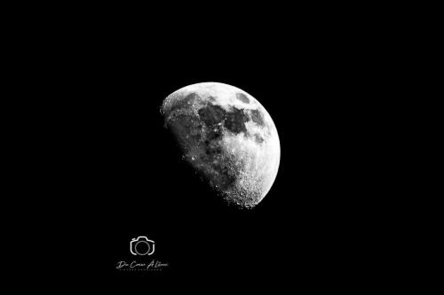 IMG_9710