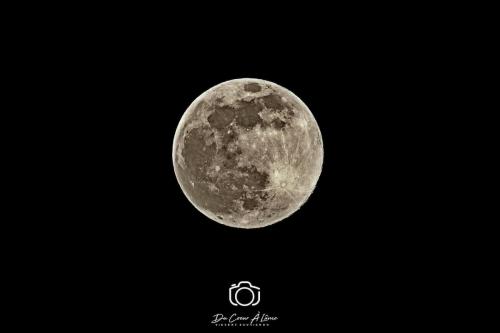 Lune_Rose 2020